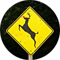 「鹿に注意」の標識