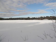 近くの小さな湖はもう完全に凍っている