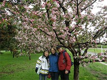 オタワの町にもたくさんある桜