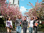 Canadian College as a Second Language Institute