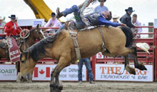 Cloverdale Rodeo