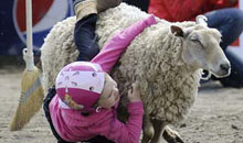  Village at Park Royal