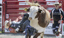 Cloverdale Rodeo