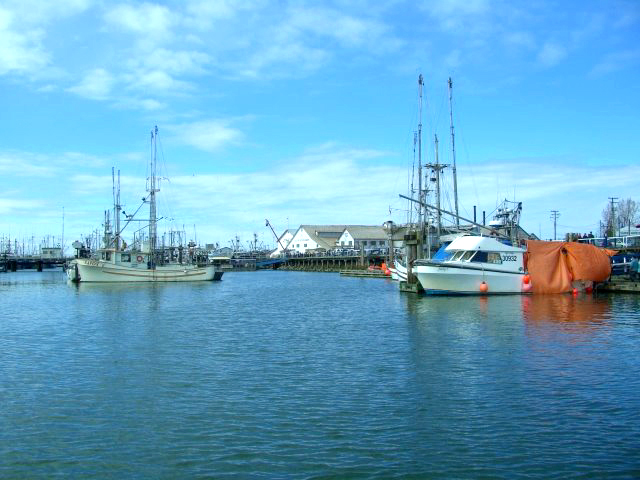 バンクーバー　ツアー