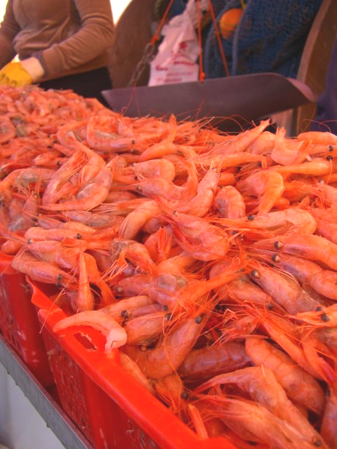 バンクーバー　ツアー