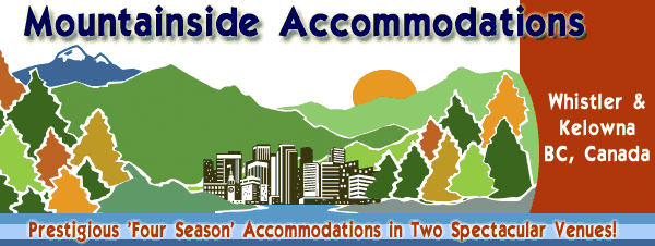 Mountainside Accommodations 