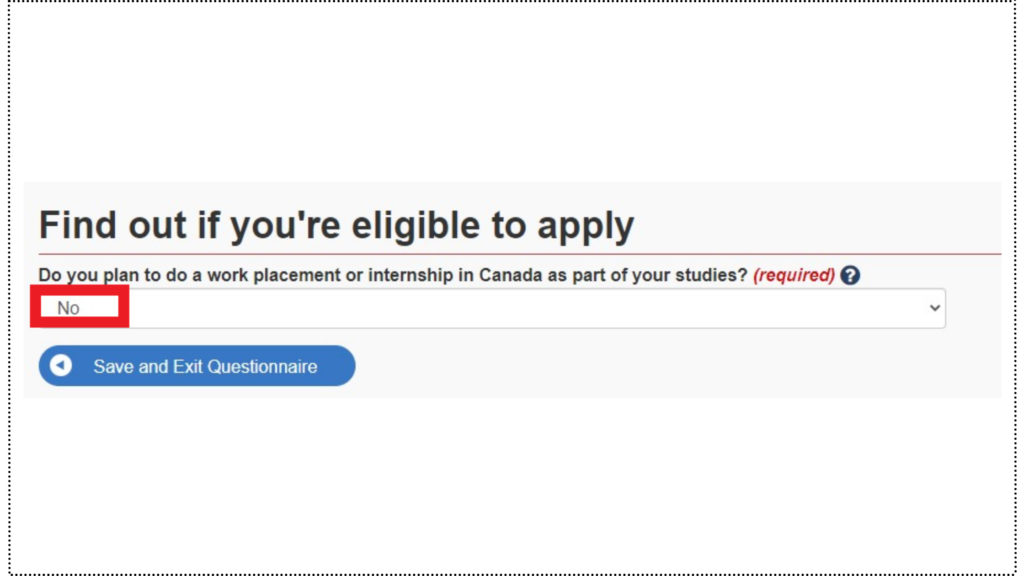 カナダのワーホリビザ申請の質問事項